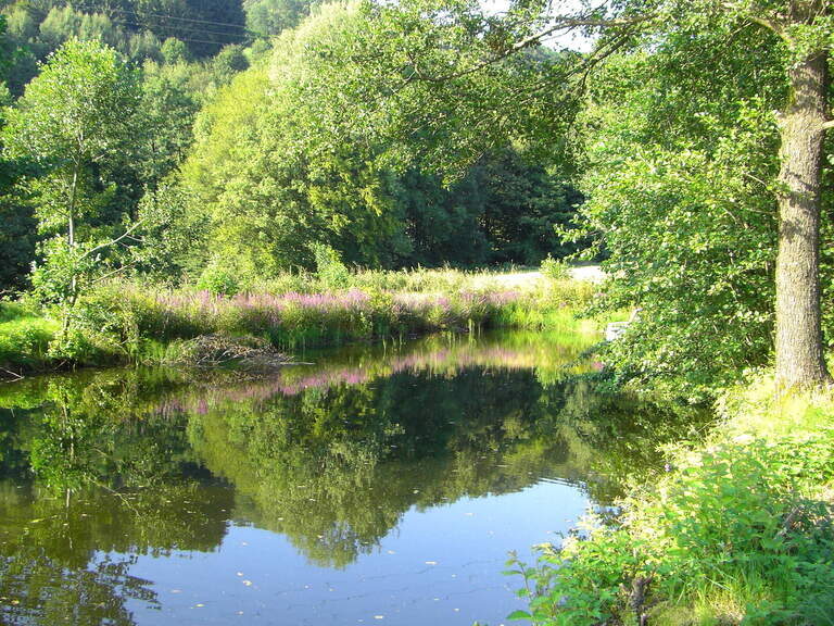 Atemberaubende Landschaft im Reiterhof Habereder Landschaft Reiterhof Habereder