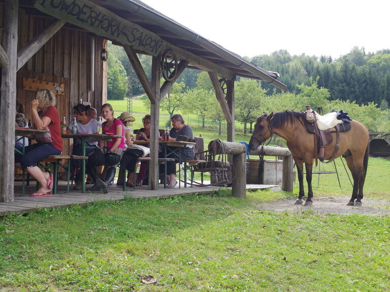 Ausritte in Schöllnach in der Sonnenwaldregion Ausreiten in Schöllnach