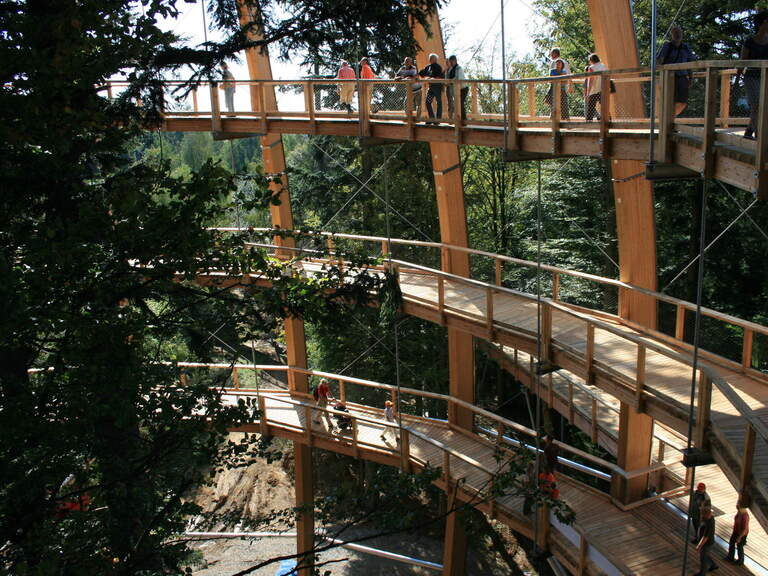 Baumwipfelfpad im Bayerischen Wald Baumwipfelpfad Bayerischer Wald