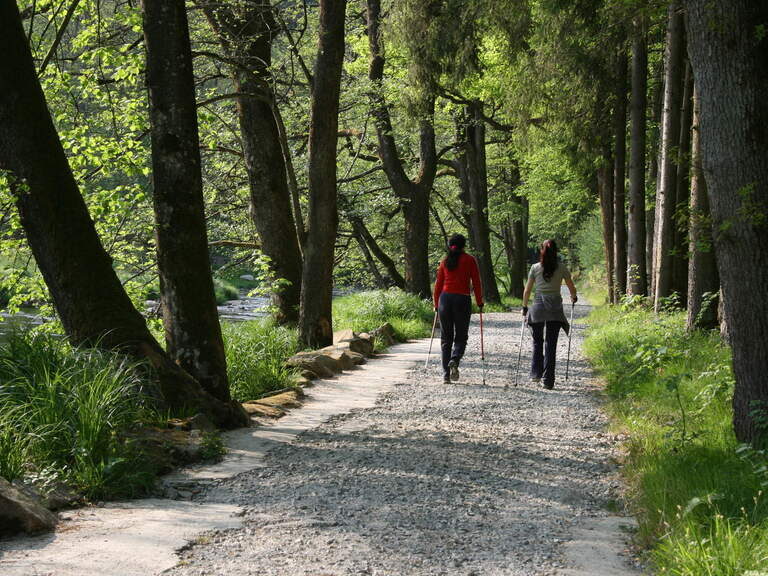 Nordic Walking in Schöllnach Nordic Walkin Schöllnach