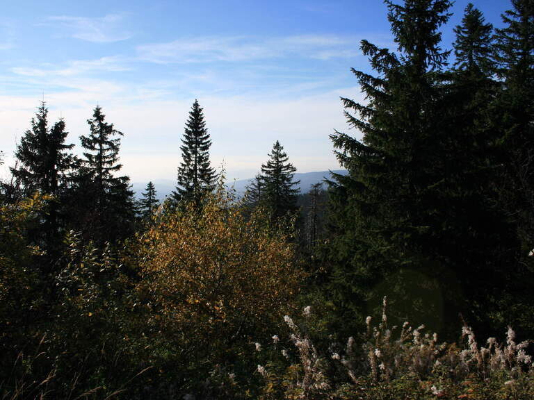 Aussicht über den Bayerischen Wald Wundervolle Aussicht