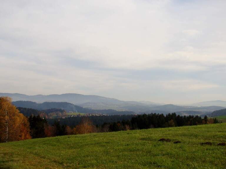 Landschaft in Schöllnach Landschaft Sonnenwaldregion