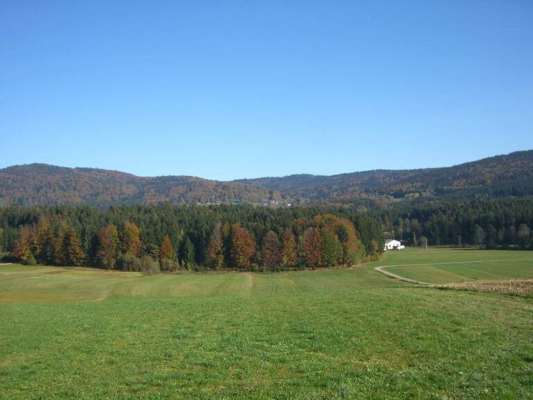 Atemberaubende Landschaft um den Reiterhof Habereder Landschaft Reiterhof Habereder Sonnenwaldregion