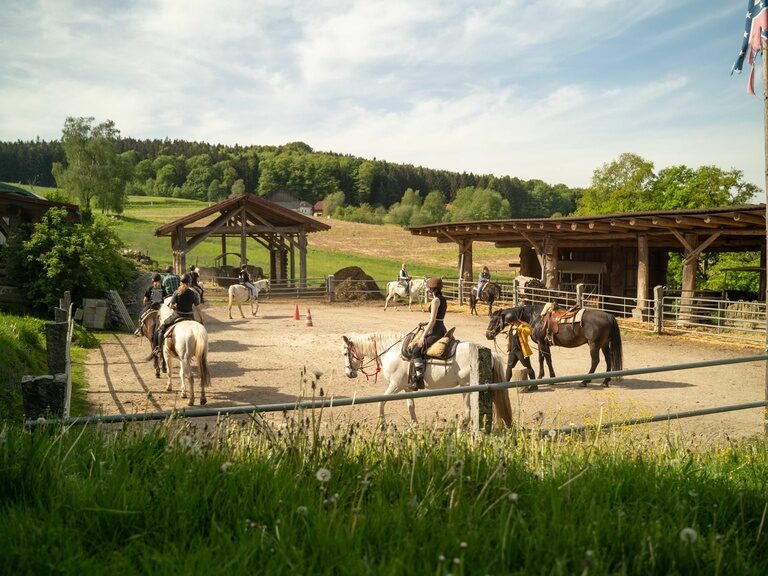 Gemütliches beisammen sein mit Pferden Gemütlich mit Pferden