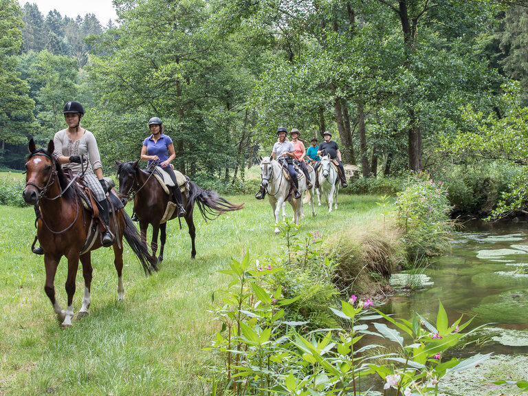 Reiten durch wunderschönes Gelände am Reiterhof Habereder Gelände Reiten im Bayerischen Wald Reiterhof Habereder