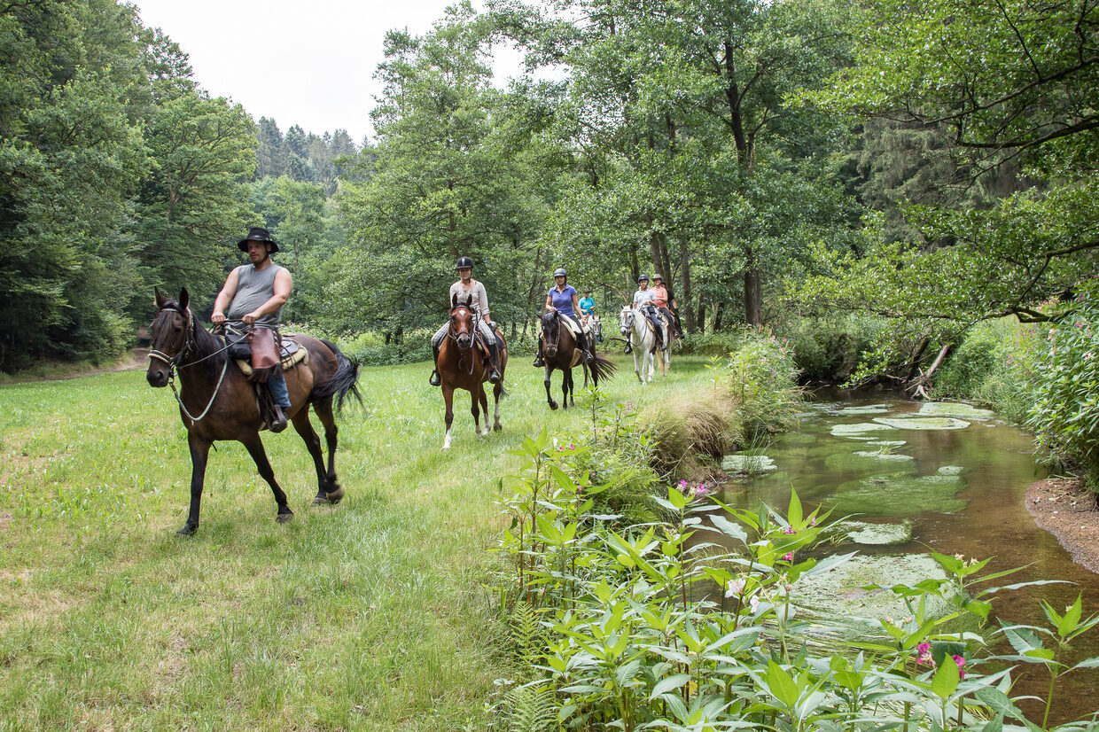 Reiten durch schöne Landschaften am Reiterhof Habereder Reiten durch Landschaft Reiterhof Habereder