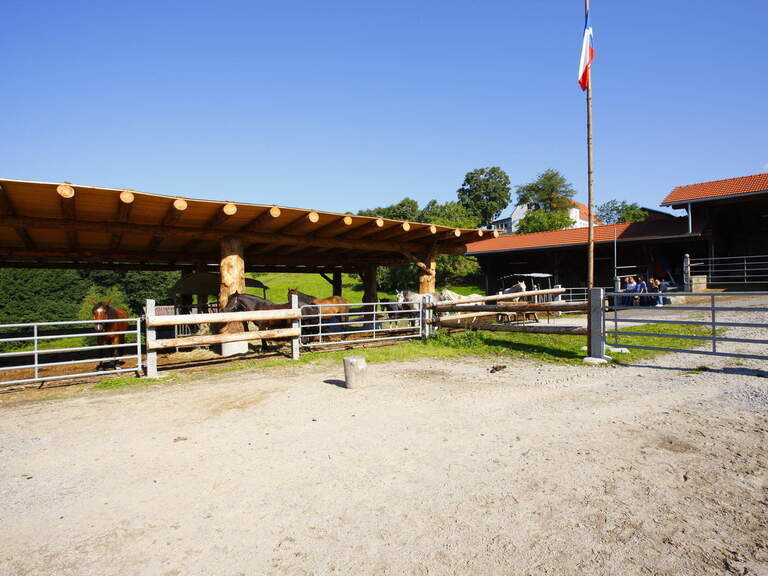 Reitplatz im Reiterhof Habereder Sonnenwaldregion Reitplatz Reiterhof Habereder
