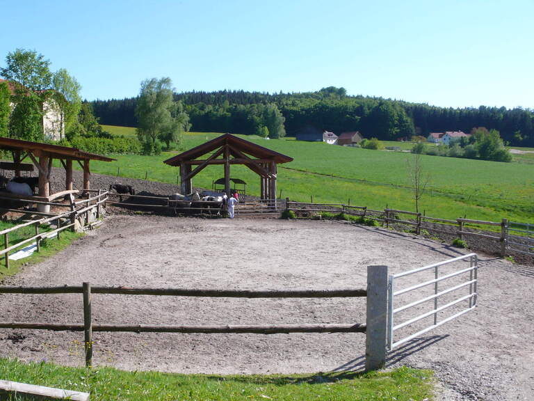Reitplatz am Reiterhof Habereder im Bayerischen Wald Reitplatz am Reiterhof
