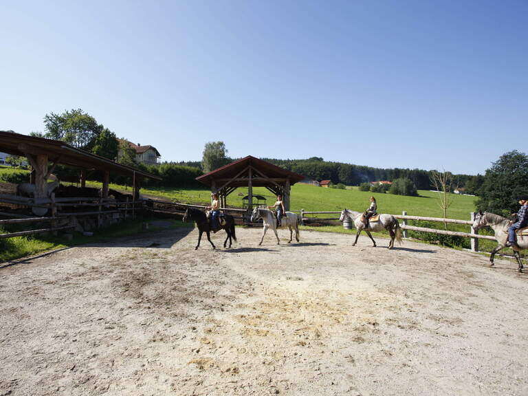 Reitstunden am Reiterhof Habereder am Reitplatz Reitstunden am Reitplatz