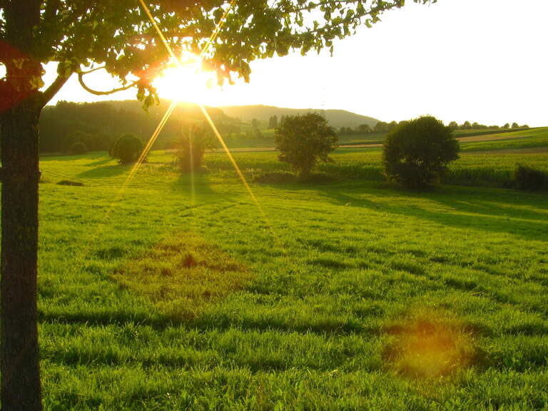 Sonnenaufgang im Reiterhof Habereder Sonnenaufgang Reiterhof Habereder