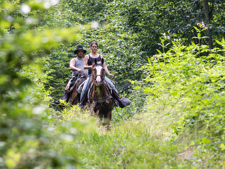 Wanderritt durch den Bayerischen Wald im Reiterhof Habereder Wanderritt im Reiterhof Habereder