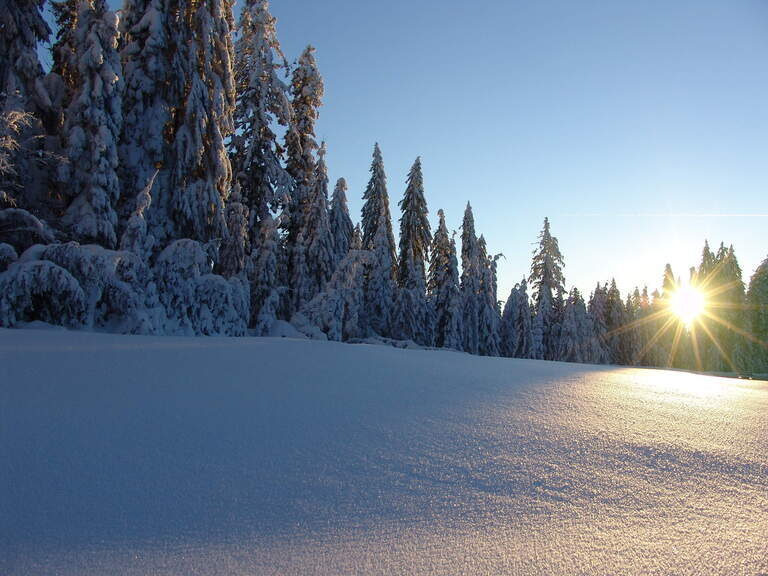 Schöne Winterlandschaft in der Sonnenwaldregion in Schöllnach Winterlandschaft Sonnenwaldregion Schöllnach